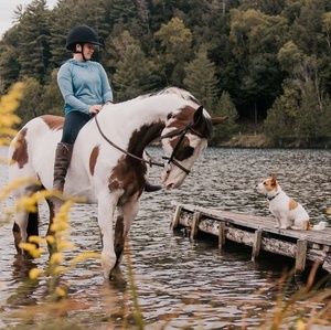 Meet your Posher, Meredith